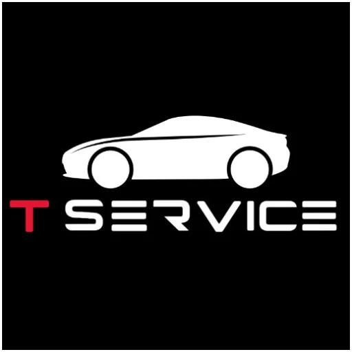 T Service logó